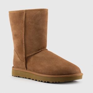Classic Chestnut Short Ugg Boots